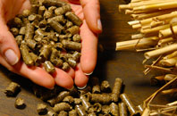 free Sells Green biomass boiler quotes